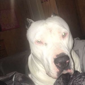 Meet your Posher, Artesha